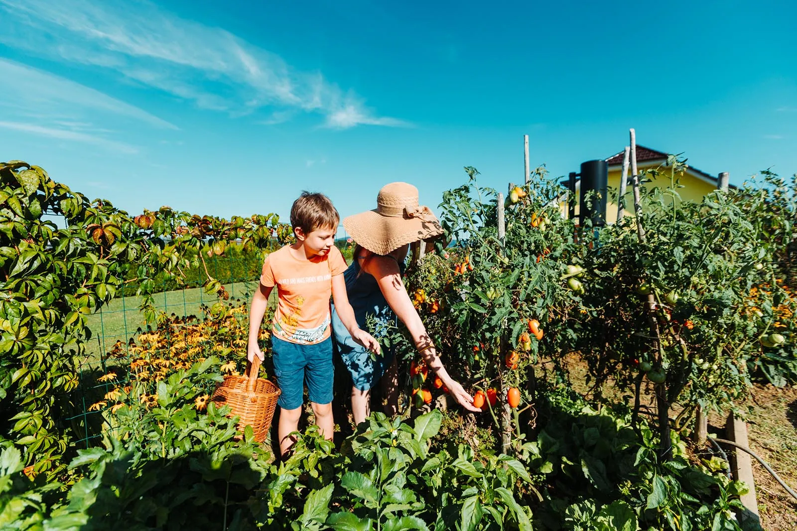 The residence’s own vegetable garden